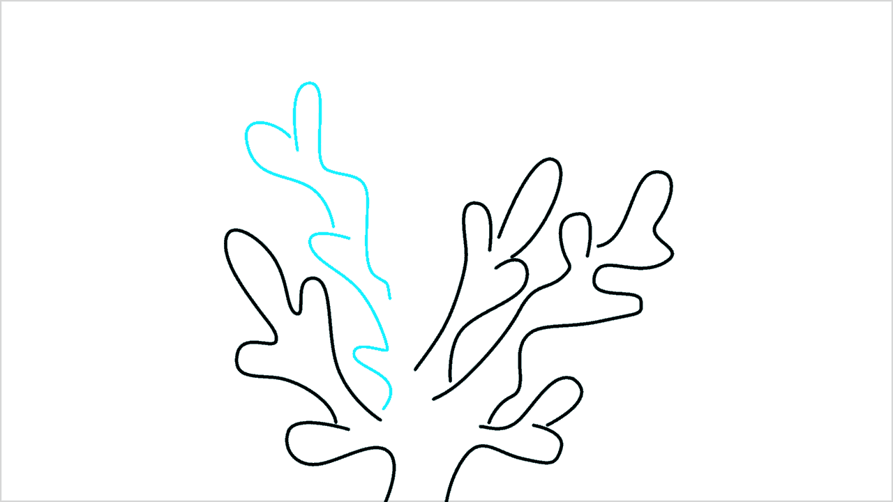 Cómo dibujar coral paso a paso (6)