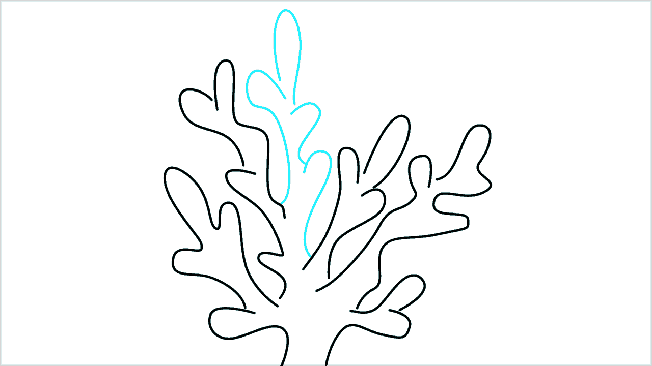 Cómo dibujar coral paso a paso (7)
