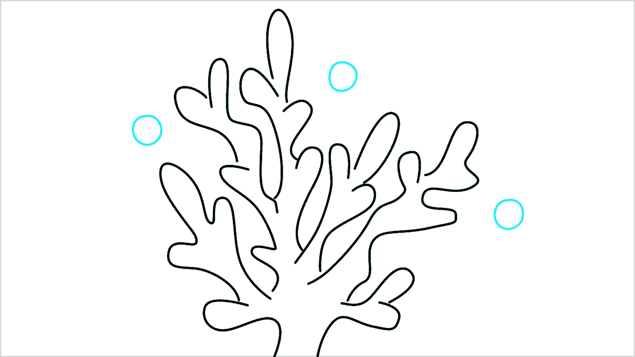 Cómo dibujar coral paso a paso (8)