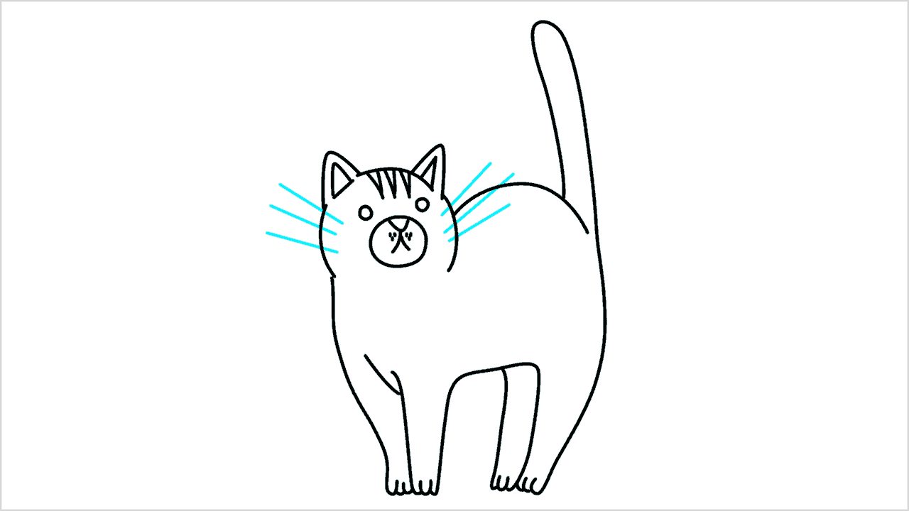Cómo dibujar gato (maine coon) paso a paso (10)
