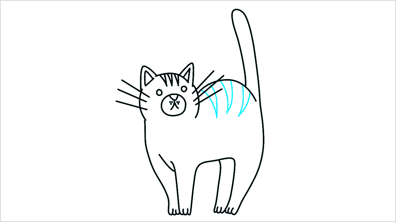 Cómo dibujar gato (maine coon) paso a paso (11)