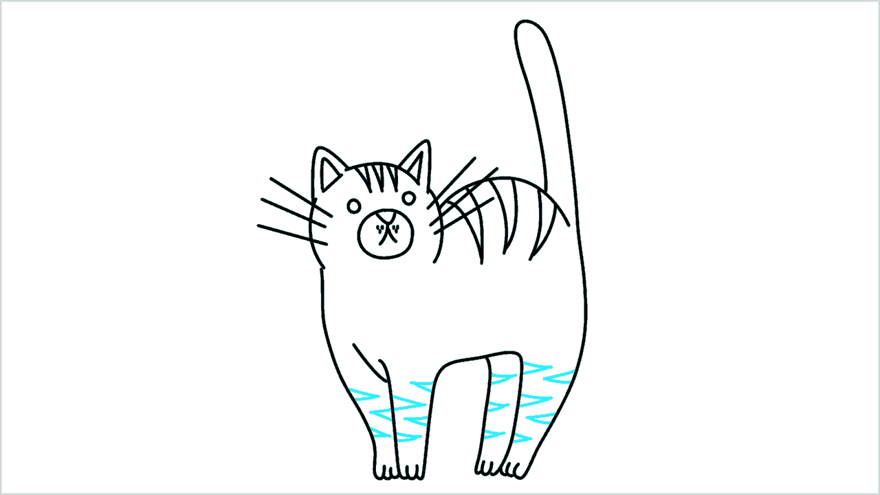 Cómo dibujar gato (maine coon) paso a paso (12)