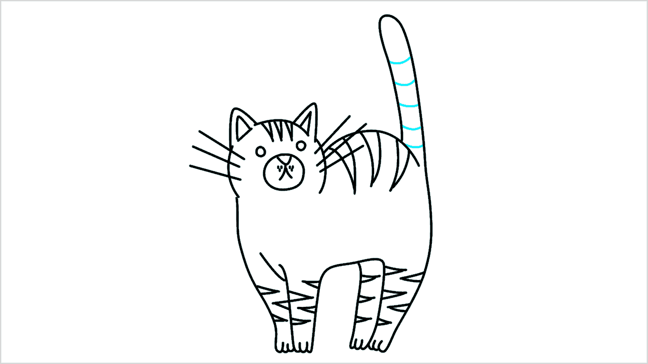 Cómo dibujar gato (maine coon) paso a paso (13)