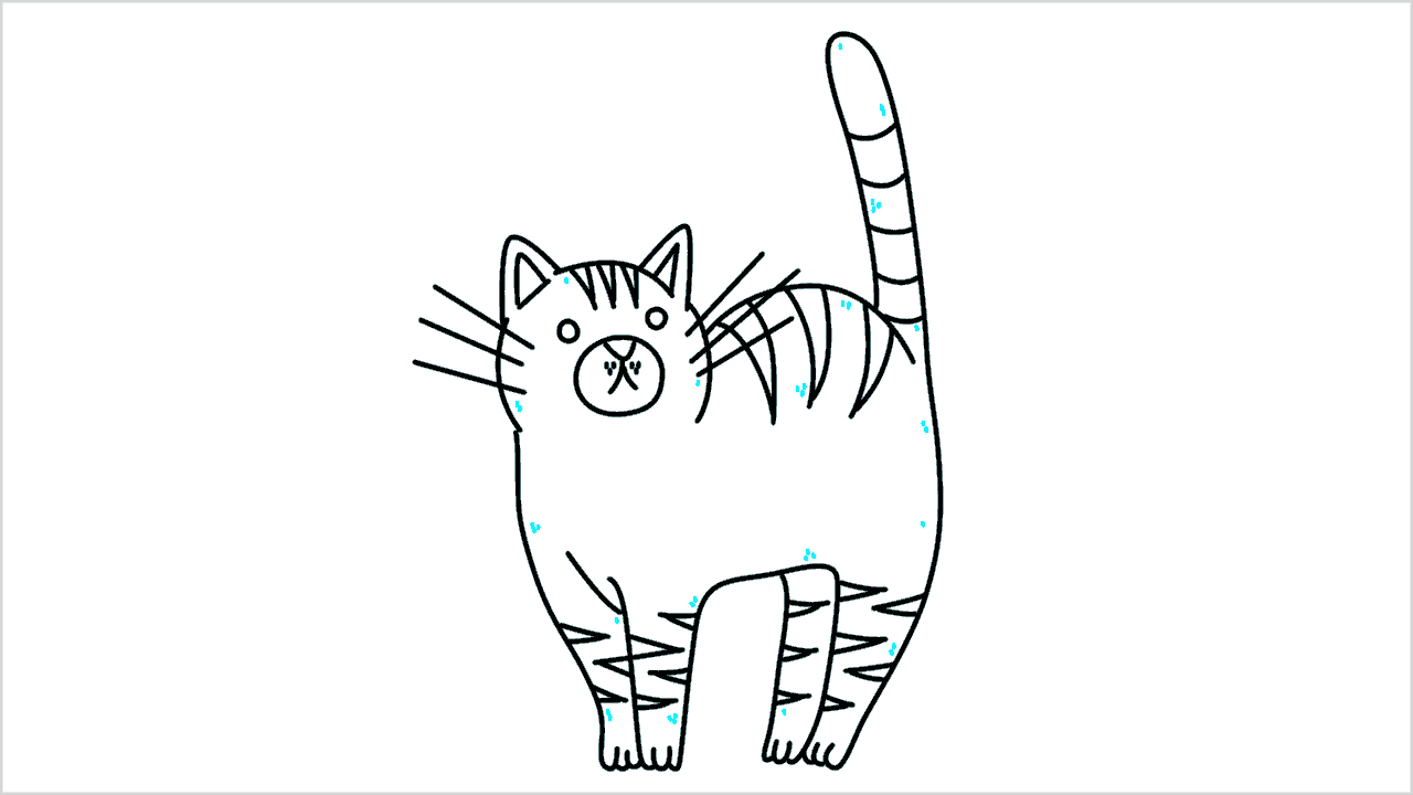 Cómo dibujar gato (maine coon) paso a paso (14)