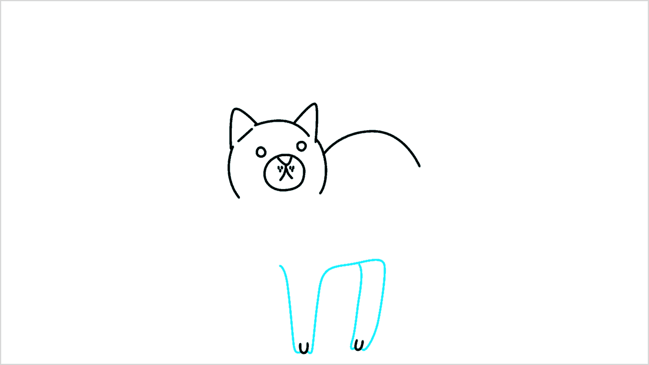 Cómo dibujar gato (maine coon) paso a paso (6)