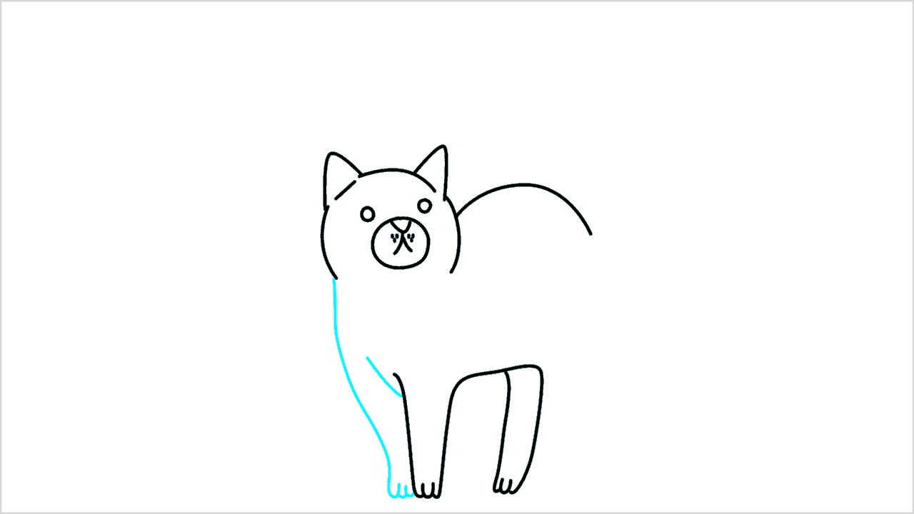 Cómo dibujar gato (maine coon) paso a paso (7)