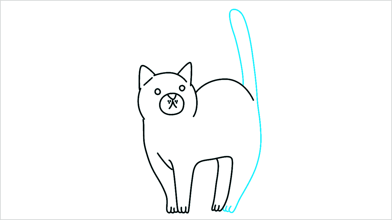 Cómo dibujar gato (maine coon) paso a paso (8)