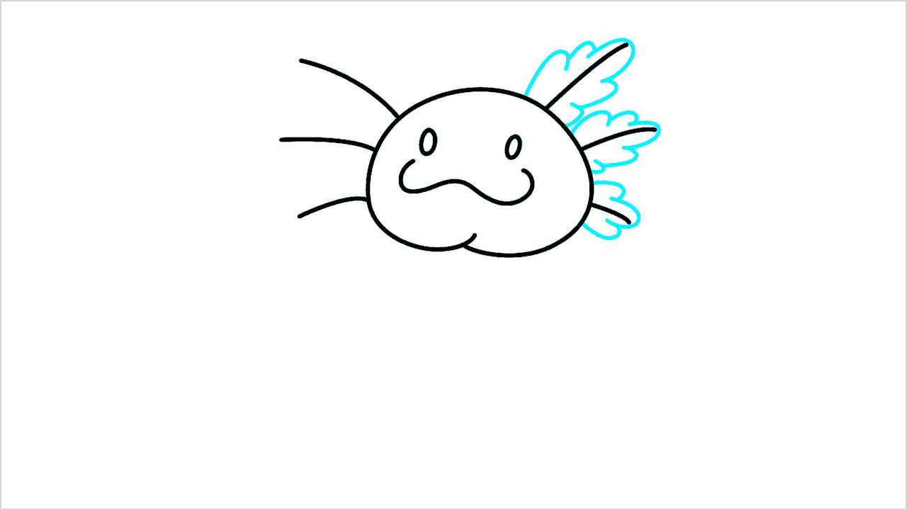 Cómo dibujar un axolotl paso a paso (5)