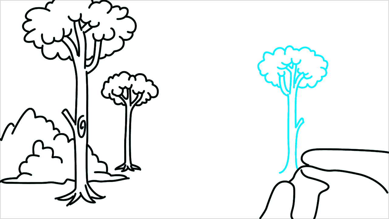 Cómo dibujar un bosque paso a paso (7)