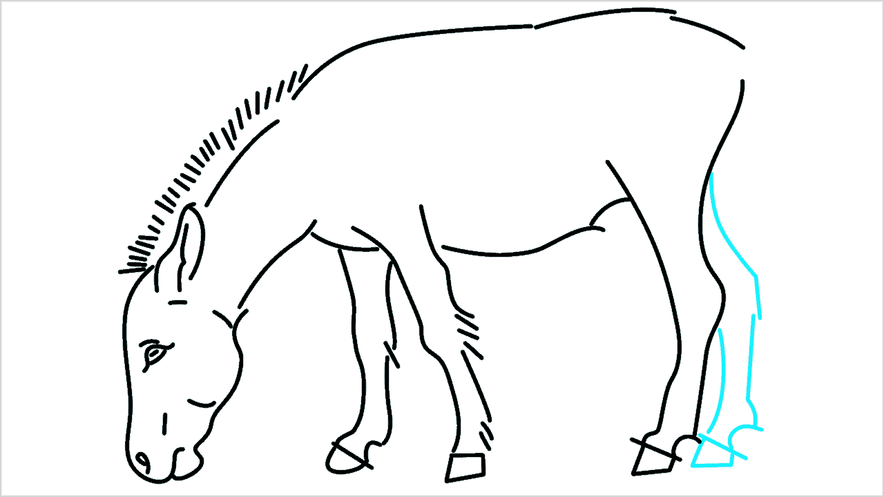 Cómo dibujar un burro paso a paso (10)