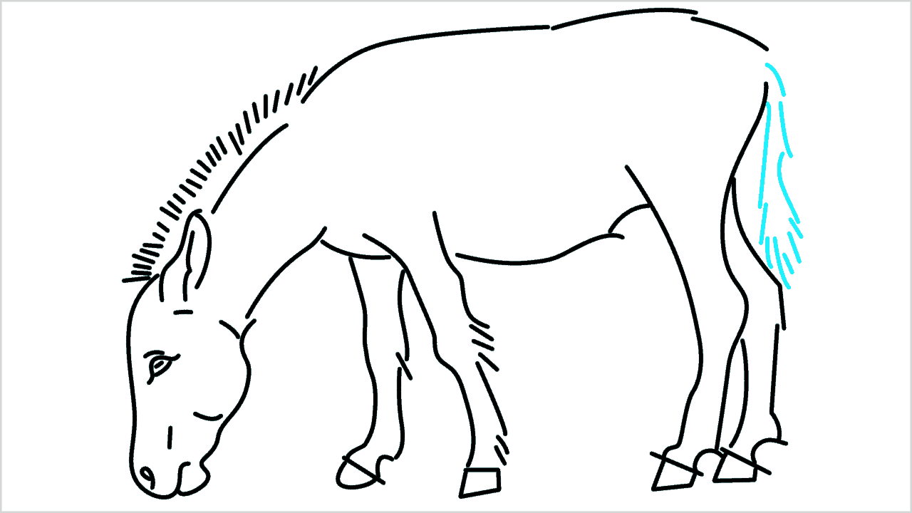 Cómo dibujar un burro paso a paso (11)