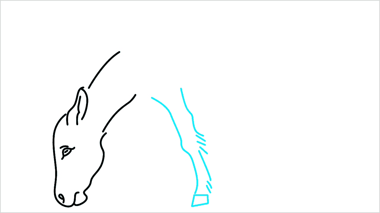 Cómo dibujar un burro paso a paso (5)