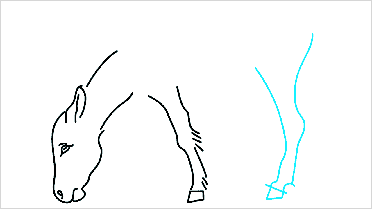 Cómo dibujar un burro paso a paso (6)