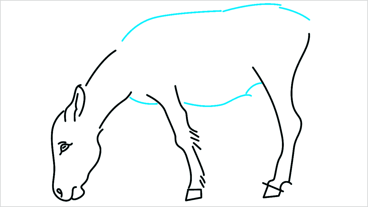 Cómo dibujar un burro paso a paso (7)