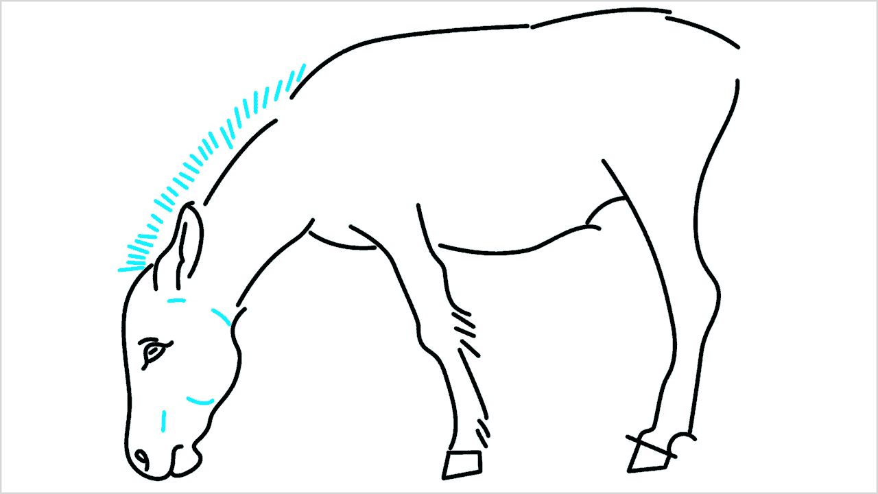 Cómo dibujar un burro paso a paso (8)