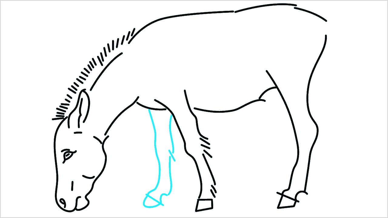 Cómo dibujar un burro paso a paso (9)
