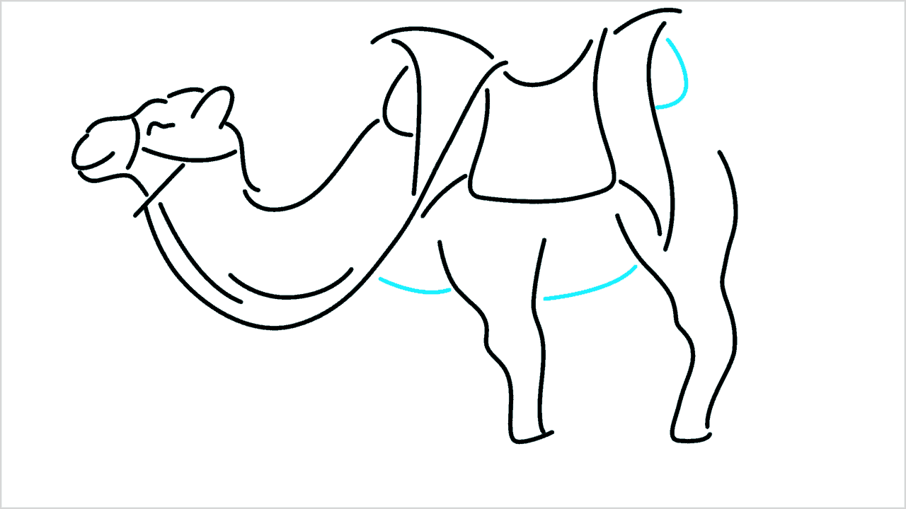 Cómo dibujar un camello paso a paso (10)