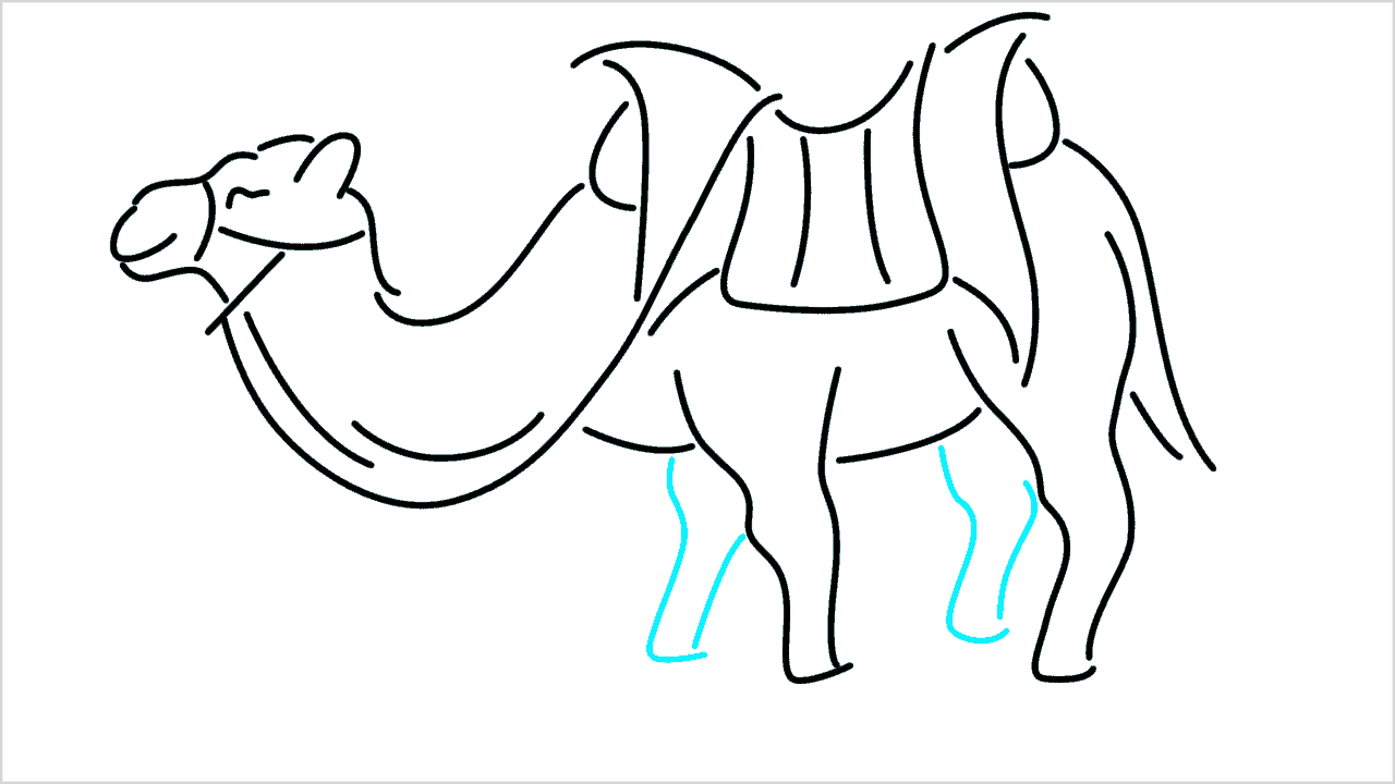 Cómo dibujar un camello paso a paso (12)