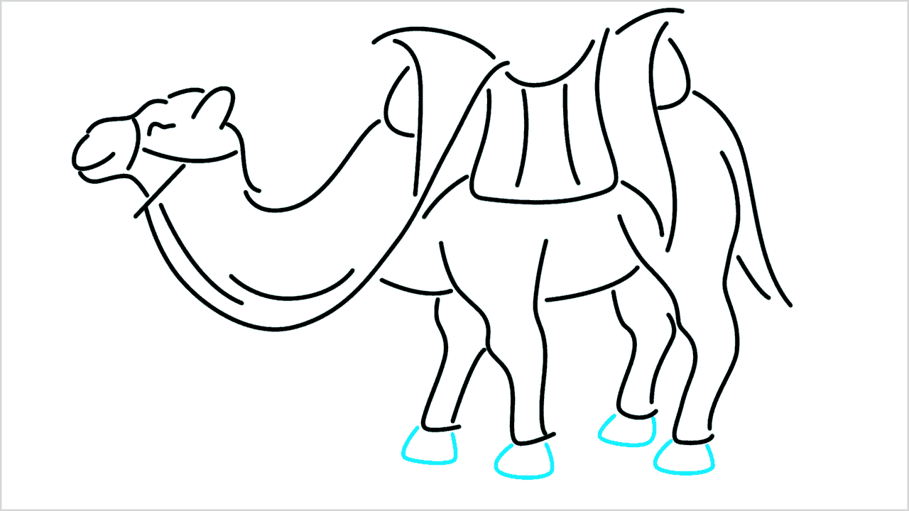 Cómo dibujar un camello paso a paso (13)
