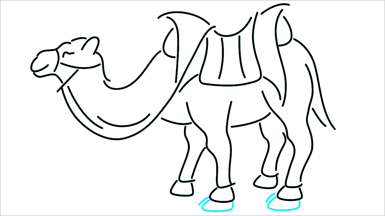 Cómo dibujar un camello paso a paso (14)