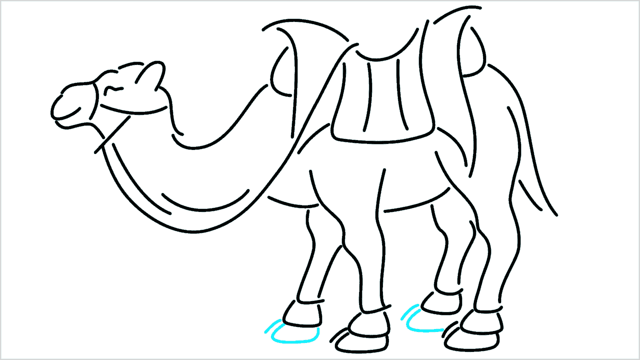 Cómo dibujar un camello paso a paso (15)