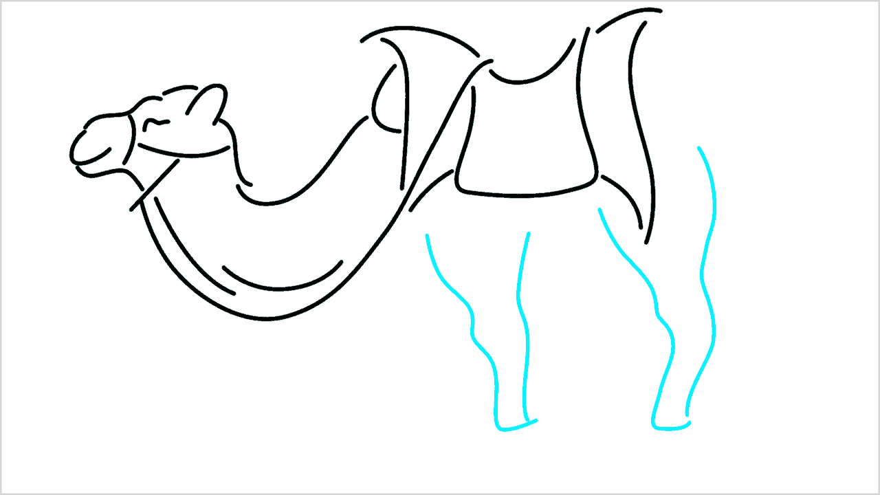 Cómo dibujar un camello paso a paso (9)
