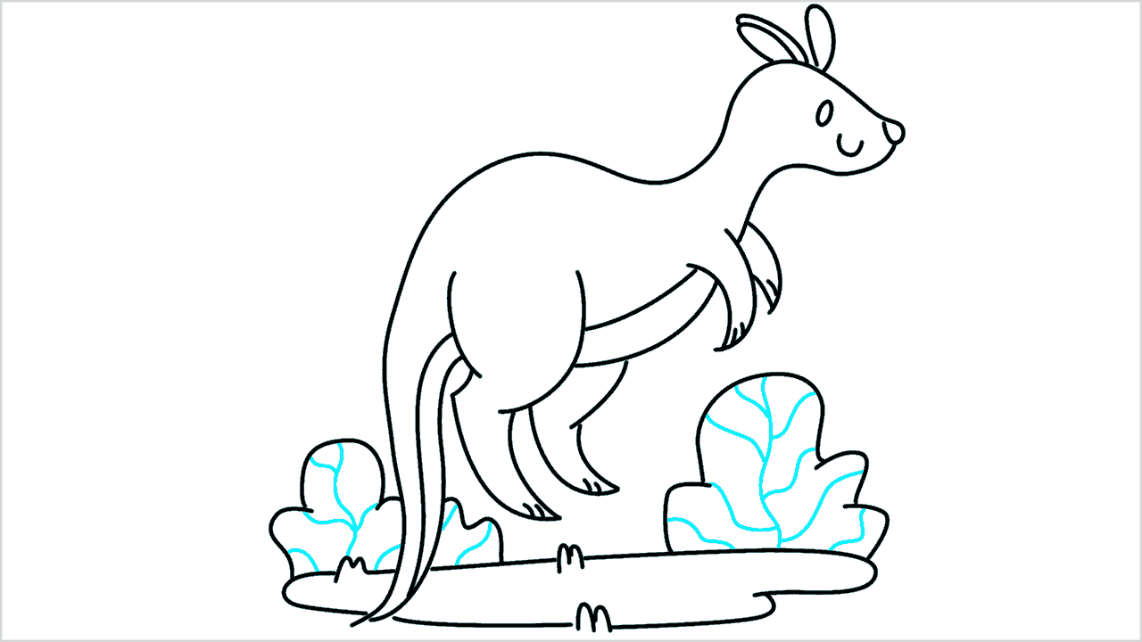 Cómo dibujar un canguro paso a paso (10)