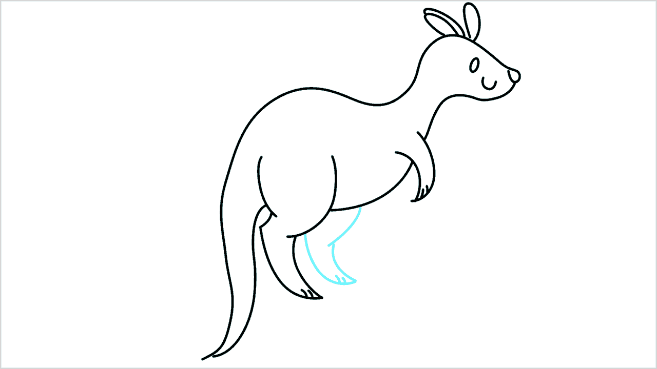 Cómo dibujar un canguro paso a paso (6)