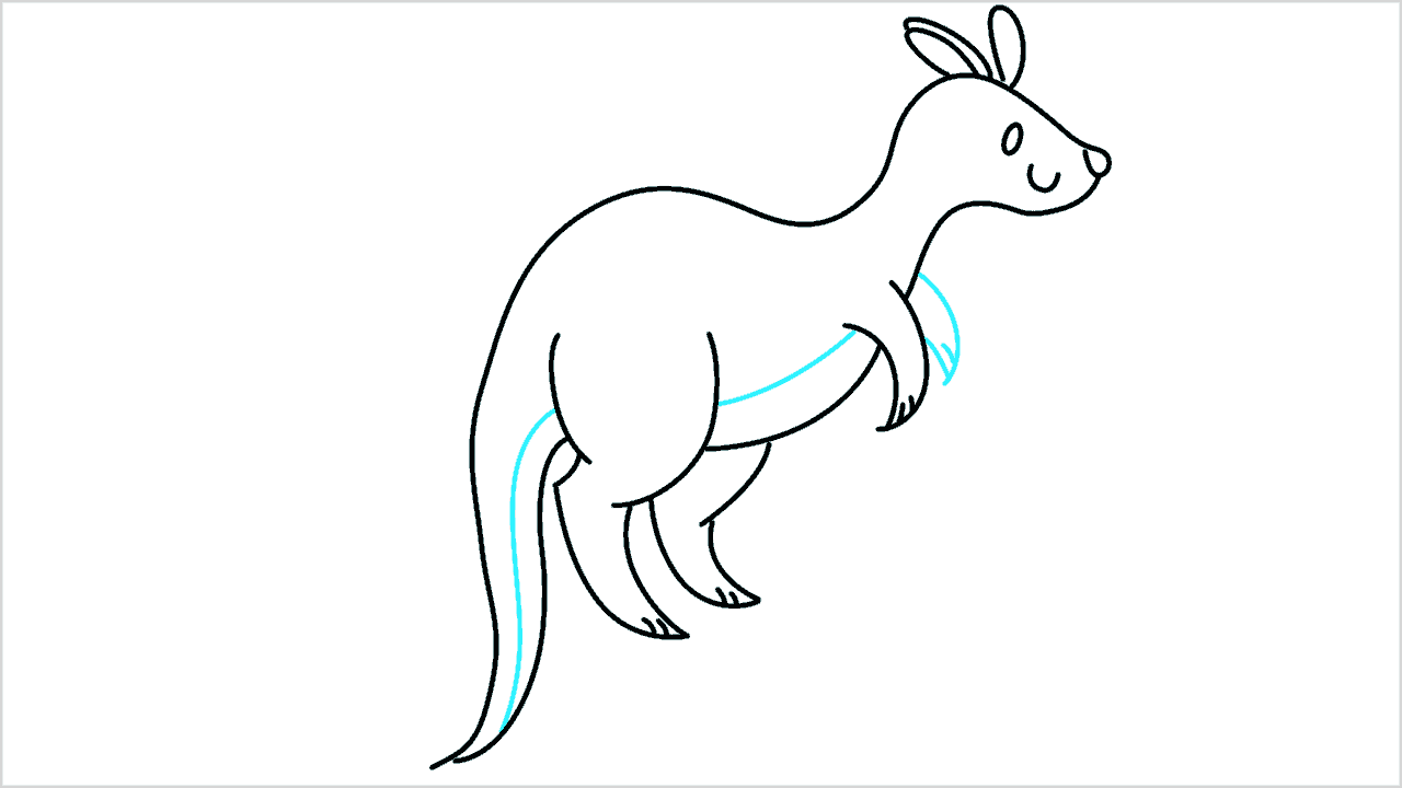 Cómo dibujar un canguro paso a paso (7)