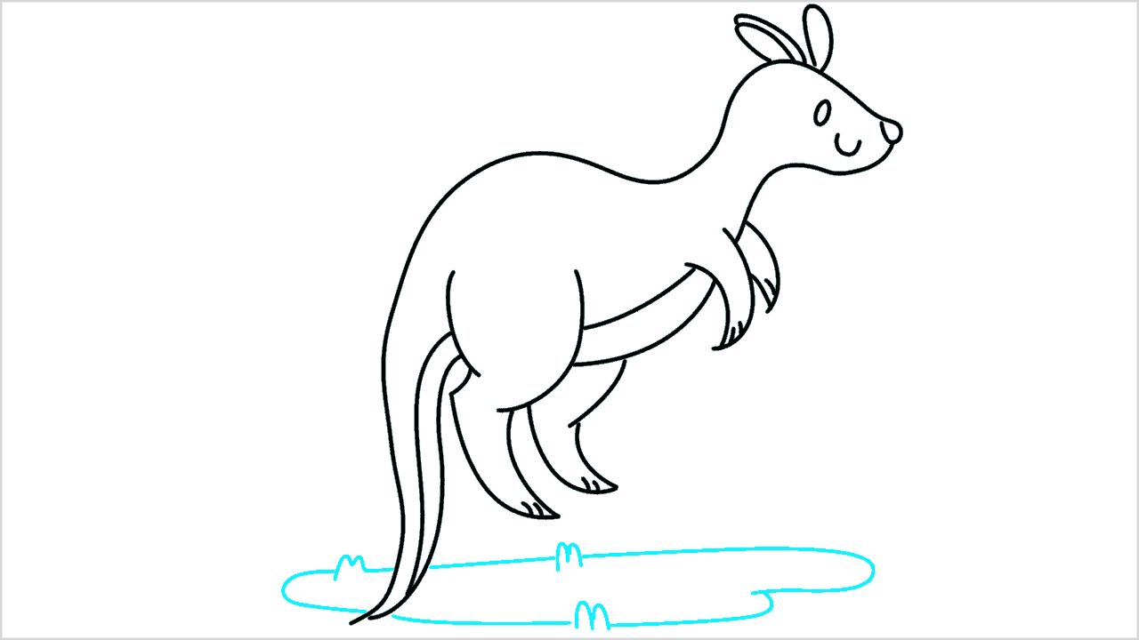 Cómo dibujar un canguro paso a paso (8)
