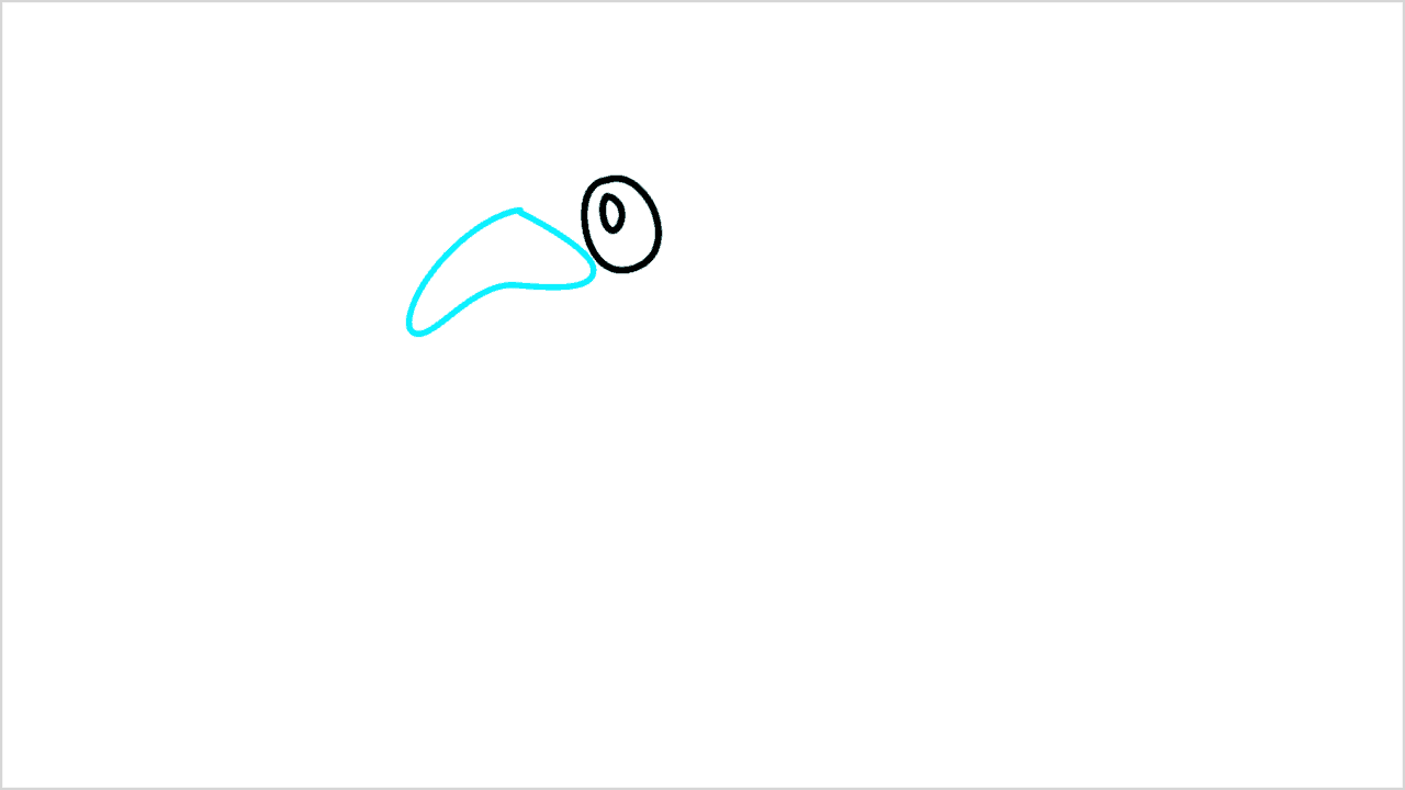 Cómo dibujar un cassowary paso a paso (2)