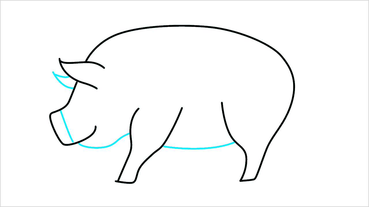Cómo dibujar un cerdo de lado paso a paso (5)