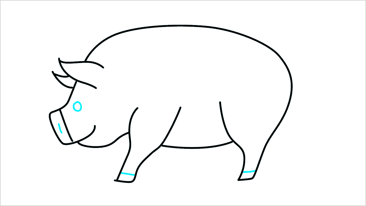 Cómo dibujar un cerdo de lado paso a paso (6)