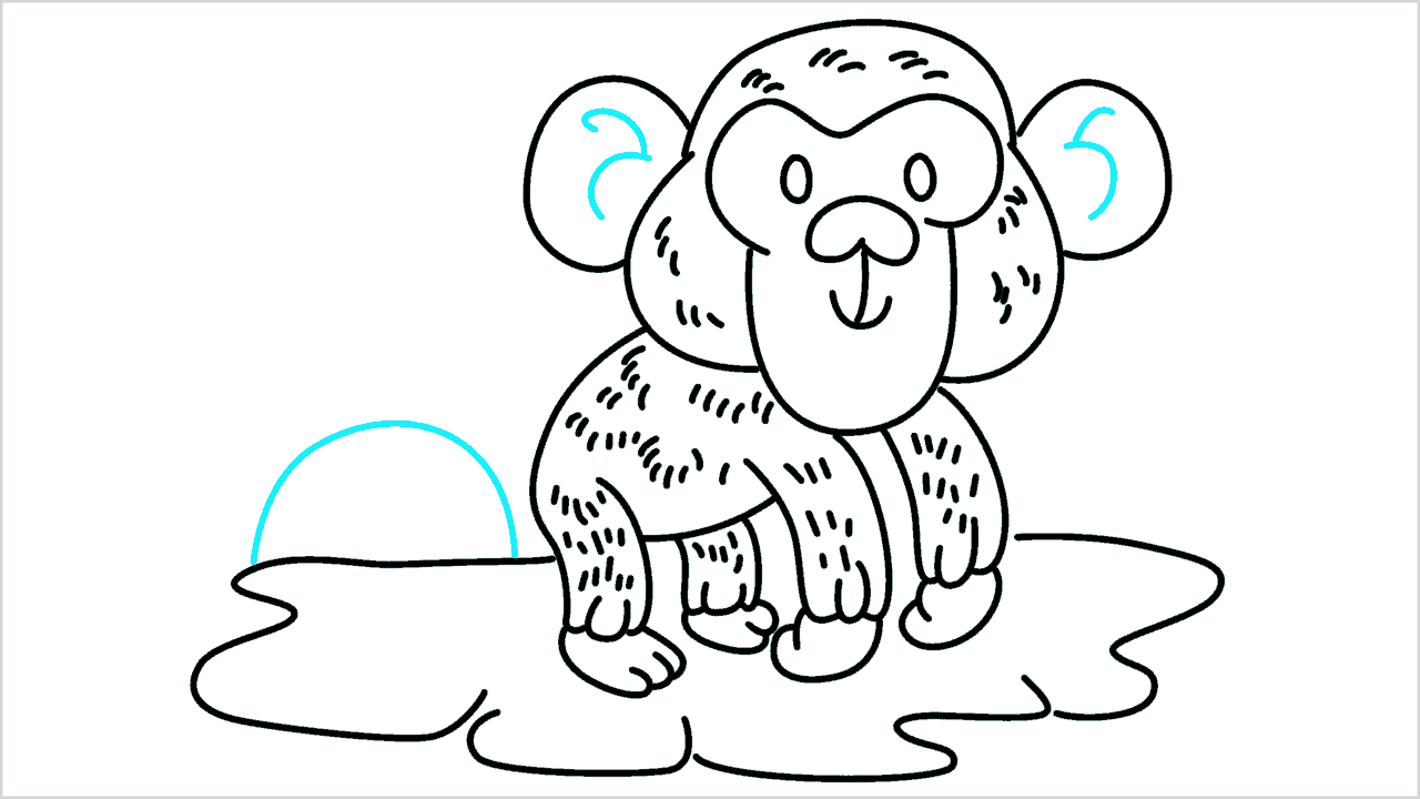 Cómo dibujar un chimpancé paso a paso (14)