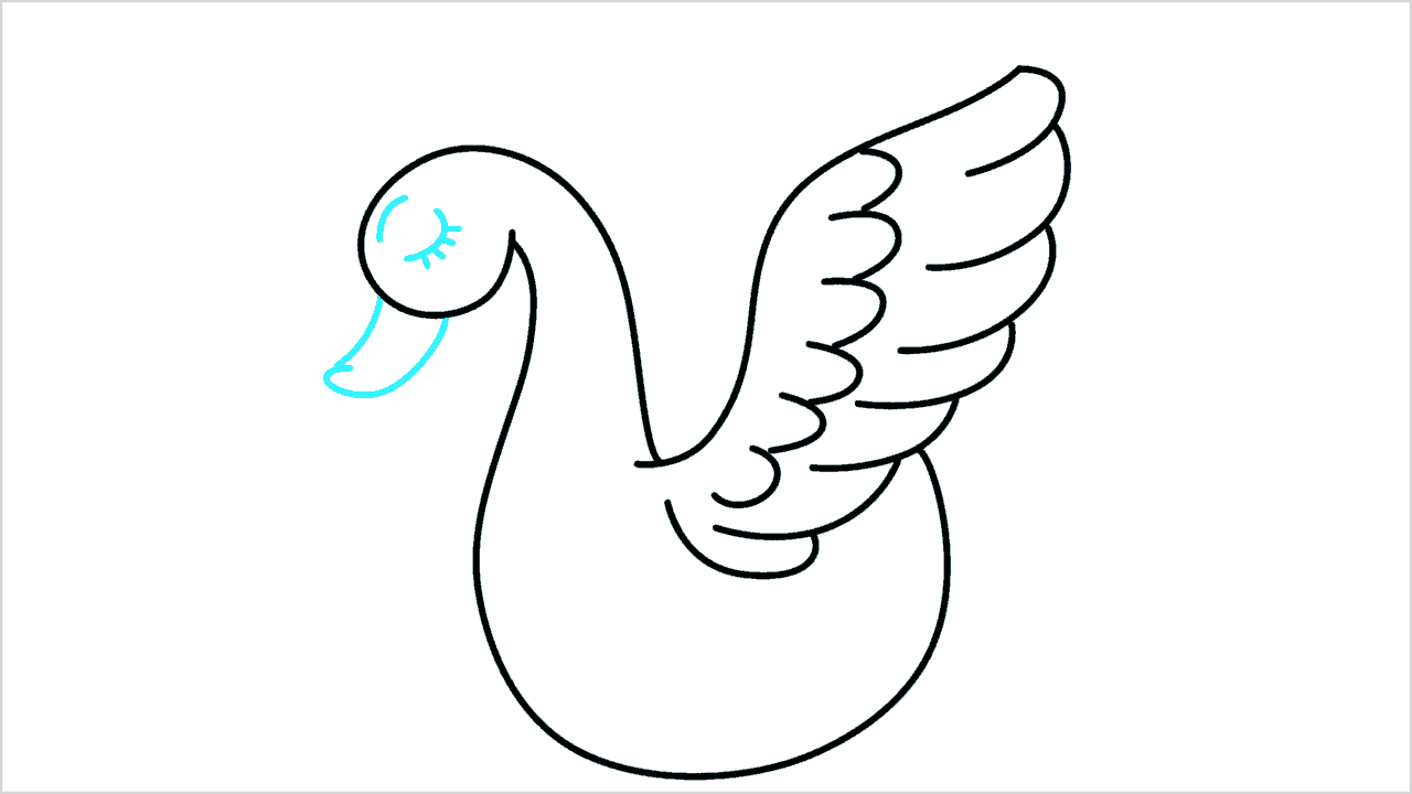 Cómo dibujar un cisne paso a paso (5)