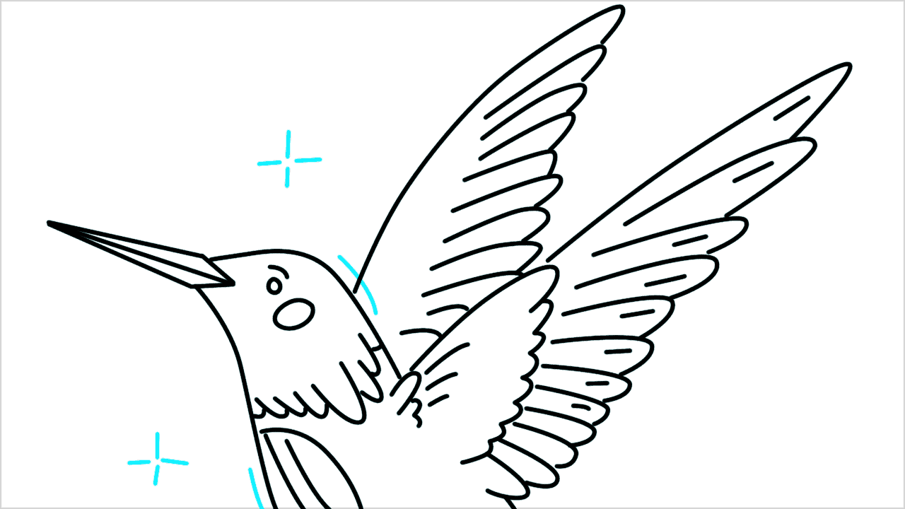 Cómo dibujar un colibrí paso a paso (10)