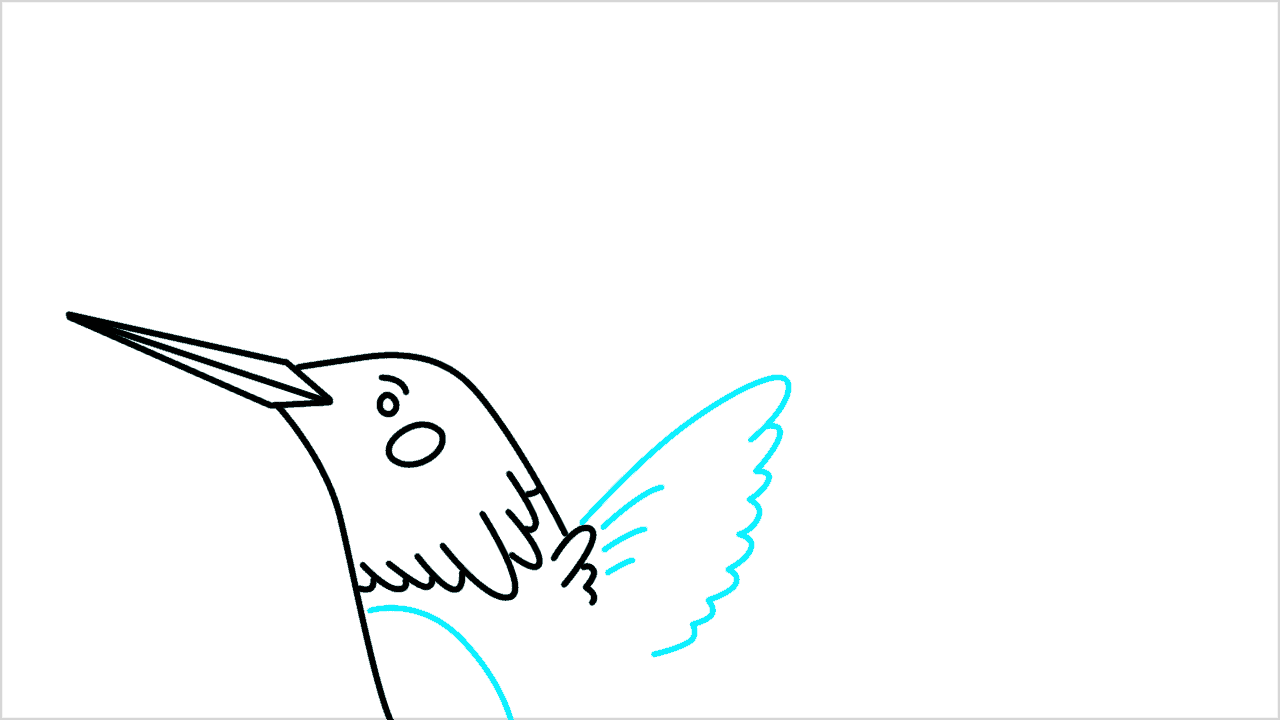 Cómo dibujar un colibrí paso a paso (6)
