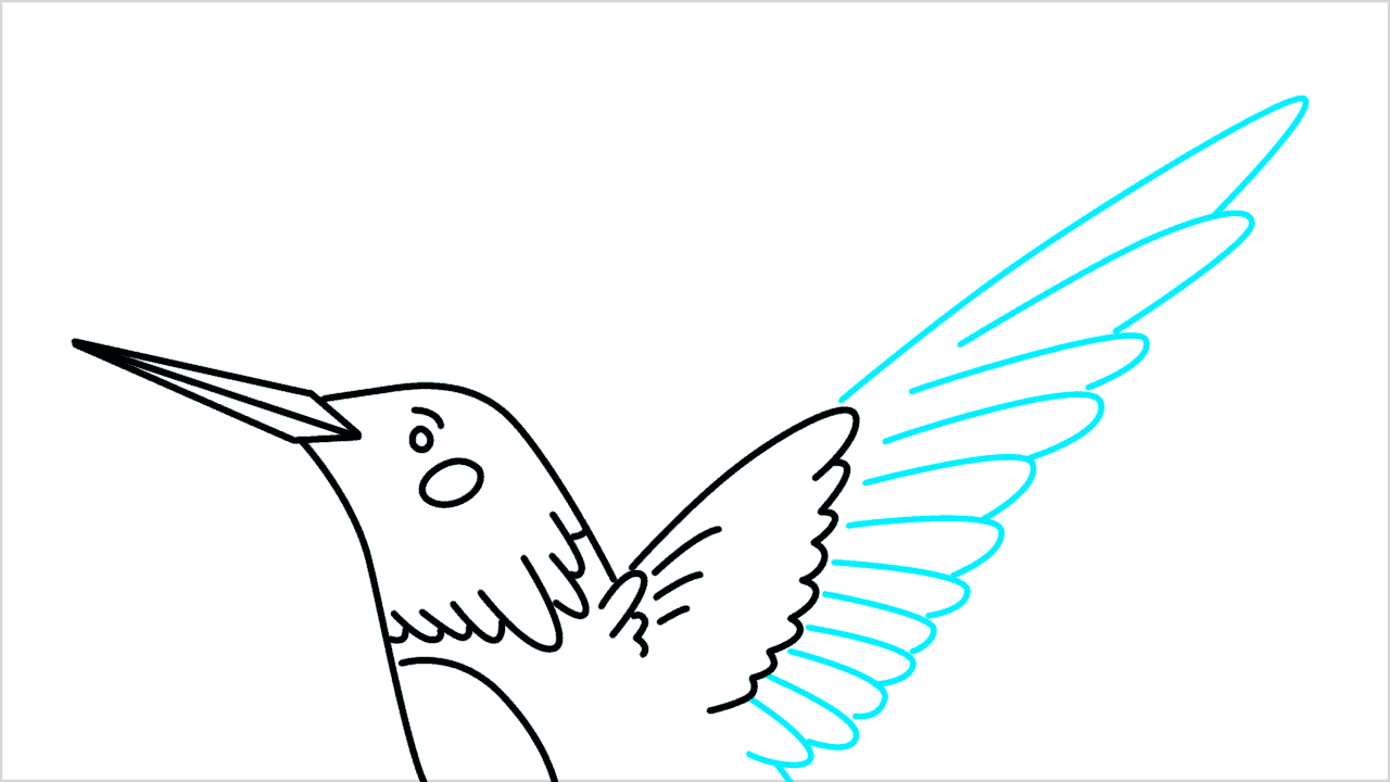 Cómo dibujar un colibrí paso a paso (7)