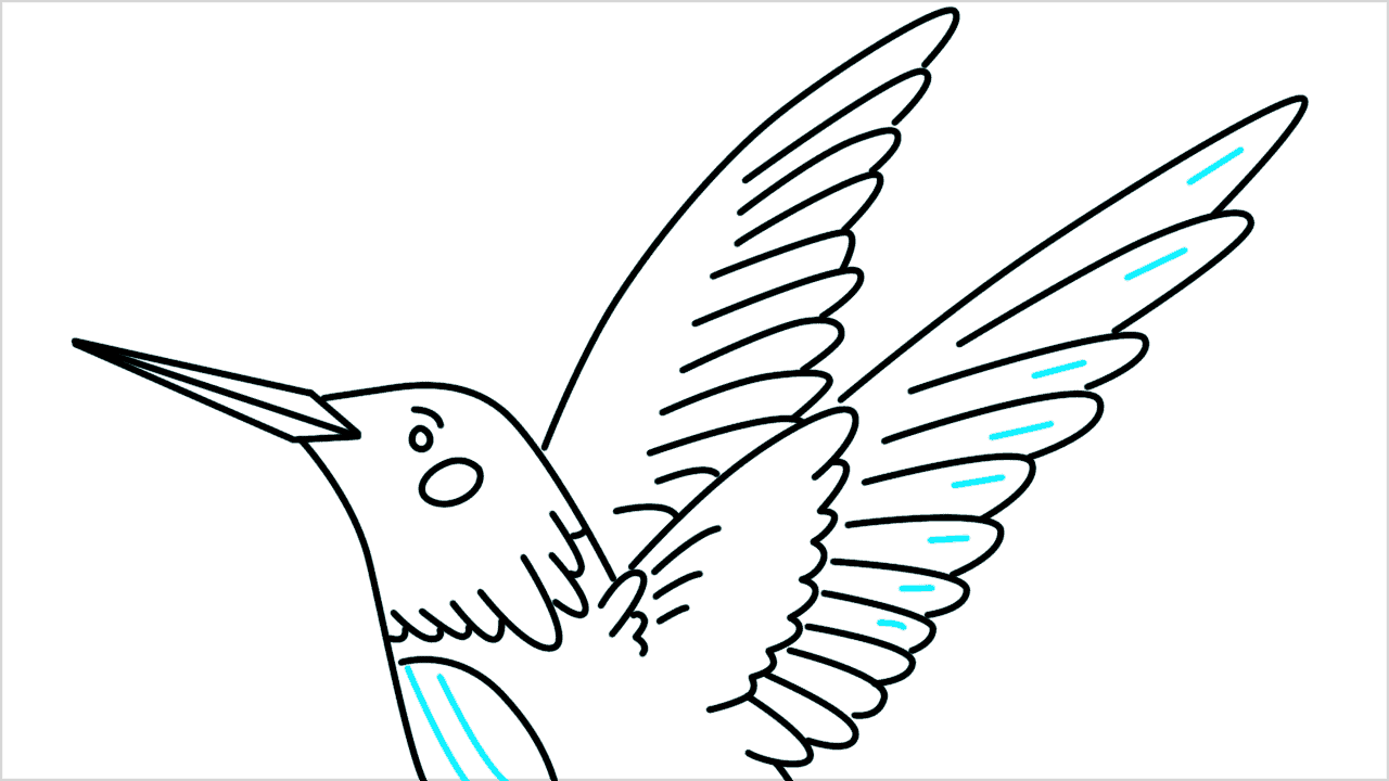 Cómo dibujar un colibrí paso a paso (9)