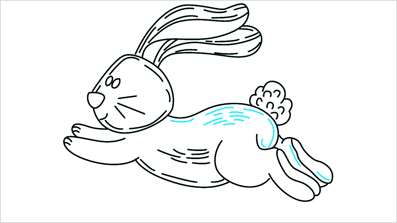 Cómo dibujar un conejo corriendo paso a paso (14)