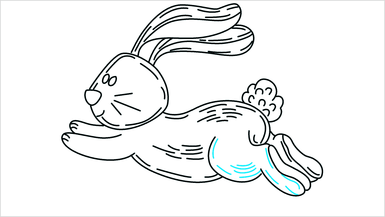 Cómo dibujar un conejo corriendo paso a paso (15)