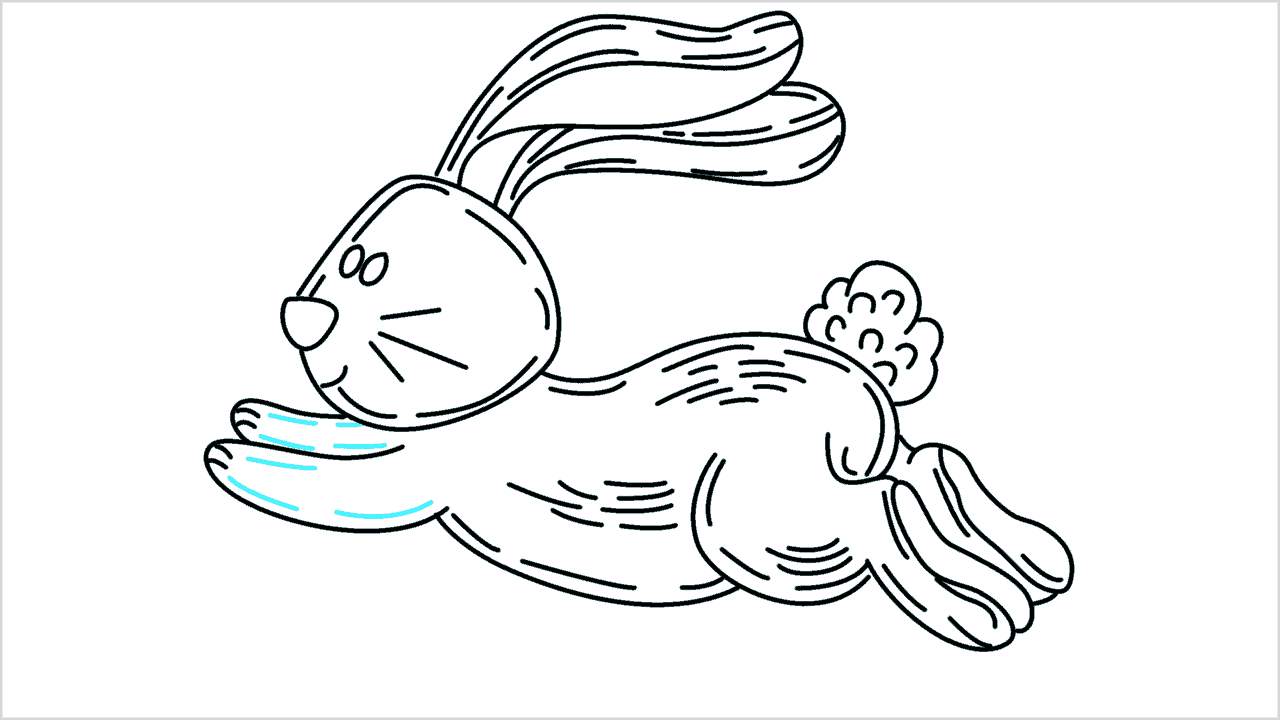 Cómo dibujar un conejo corriendo paso a paso (16)