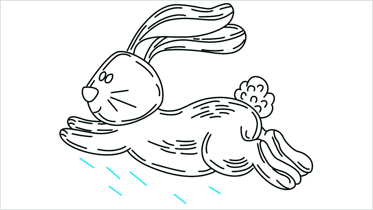 Cómo dibujar un conejo corriendo paso a paso (17)