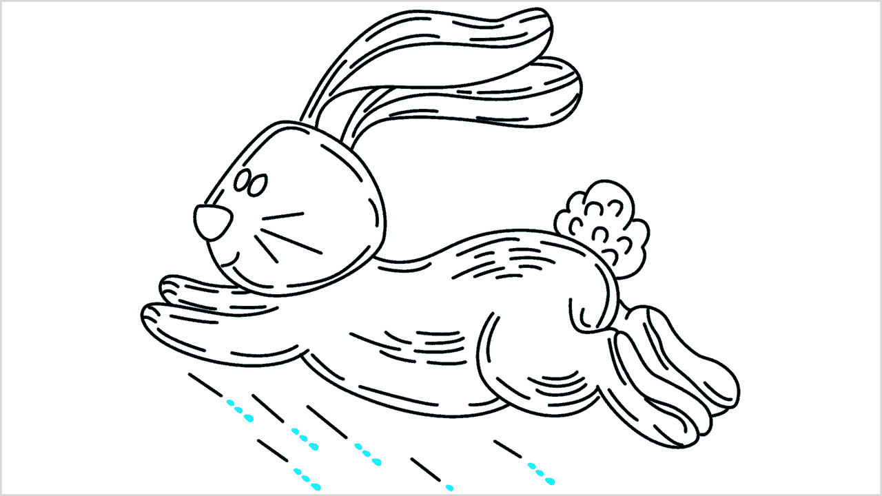 Cómo dibujar un conejo corriendo paso a paso (18)