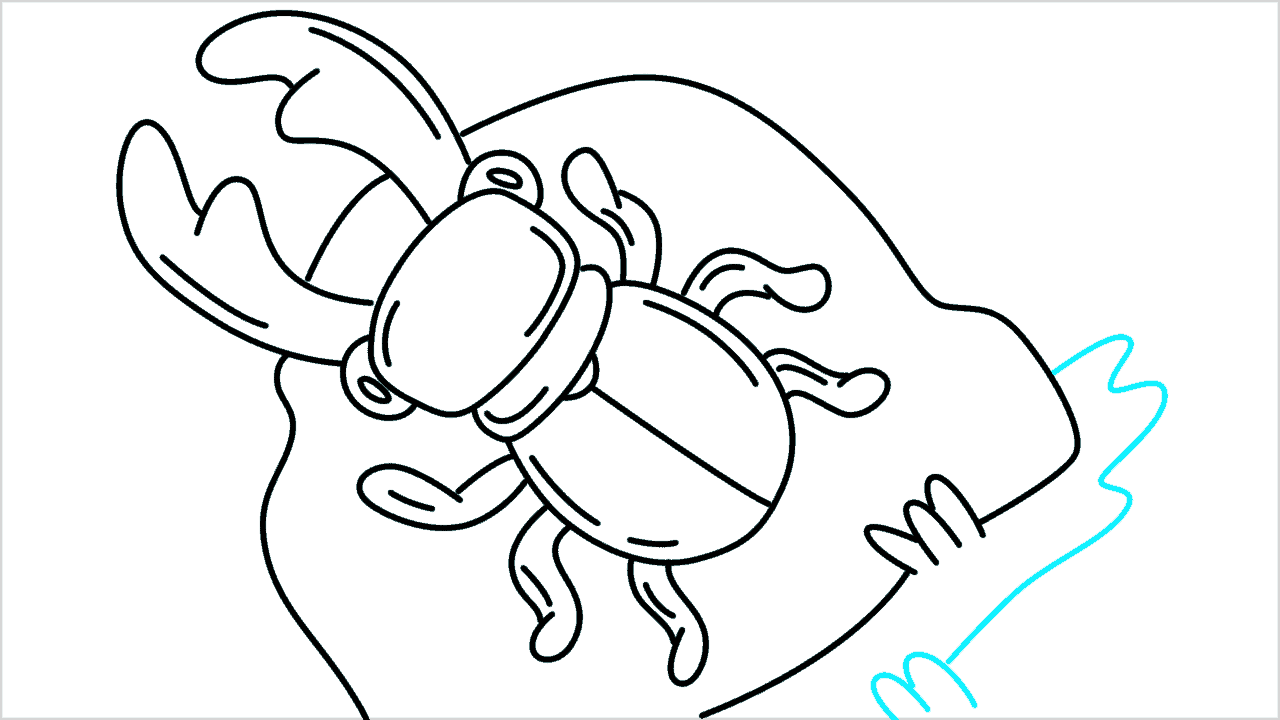 Cómo dibujar un escarabajo ciervo paso a paso (10)