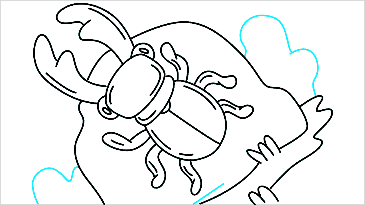 Cómo dibujar un escarabajo ciervo paso a paso (11)