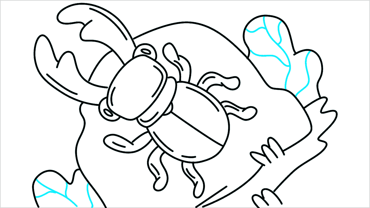 Cómo dibujar un escarabajo ciervo paso a paso (12)