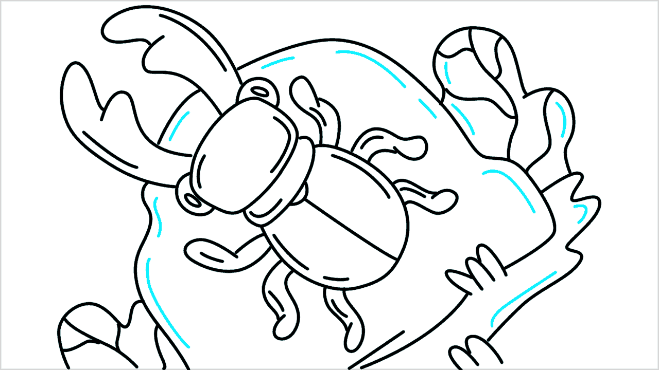 Cómo dibujar un escarabajo ciervo paso a paso (13)