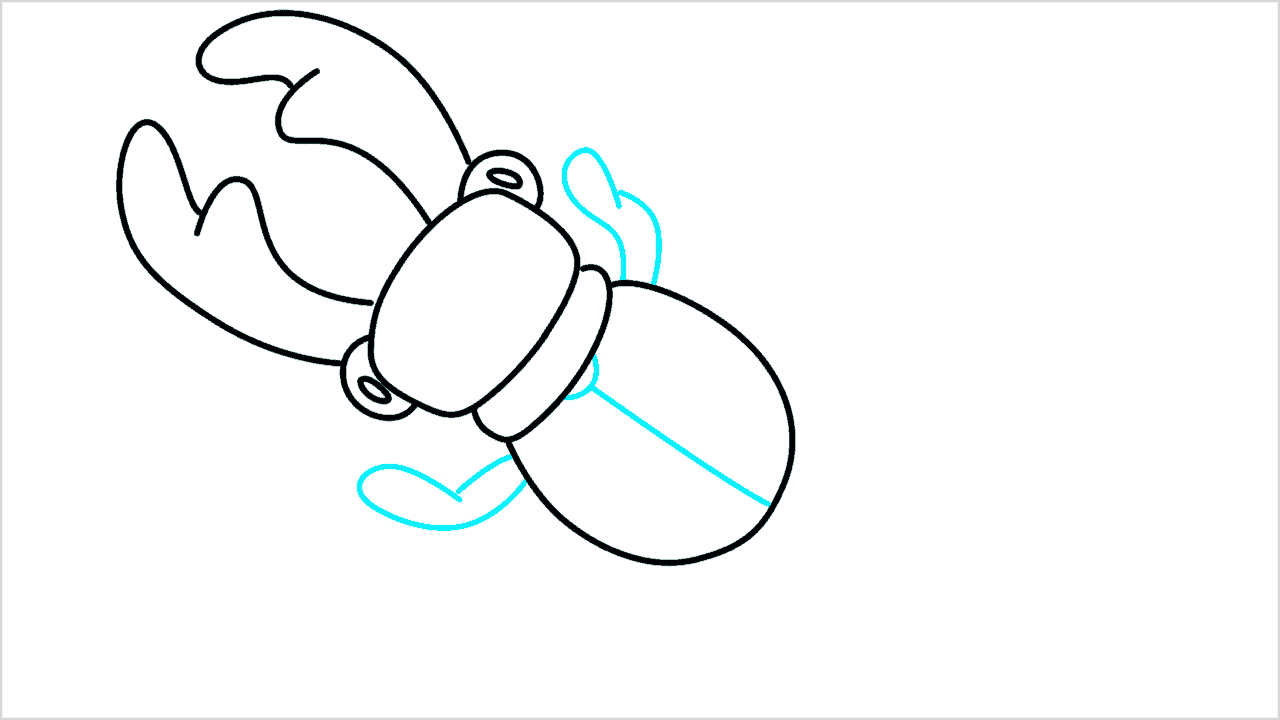 Cómo dibujar un escarabajo ciervo paso a paso (5)