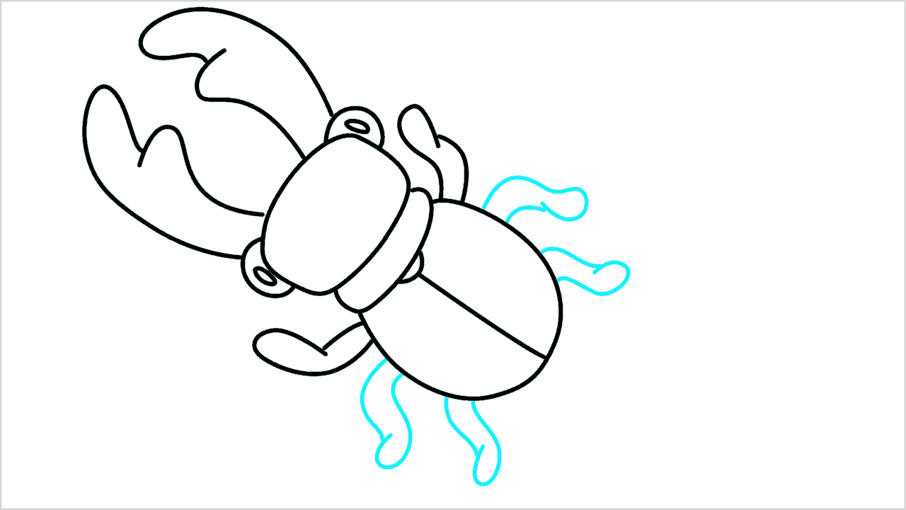 Cómo dibujar un escarabajo ciervo paso a paso (6)